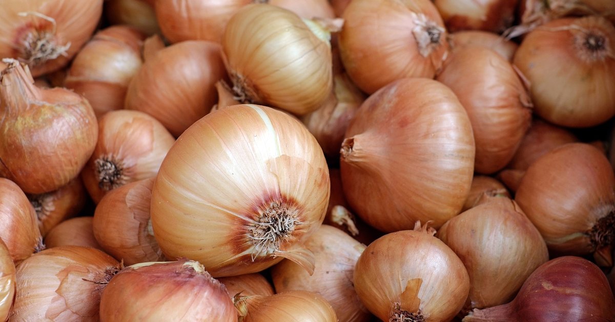 Onion Producing Countries Quiz