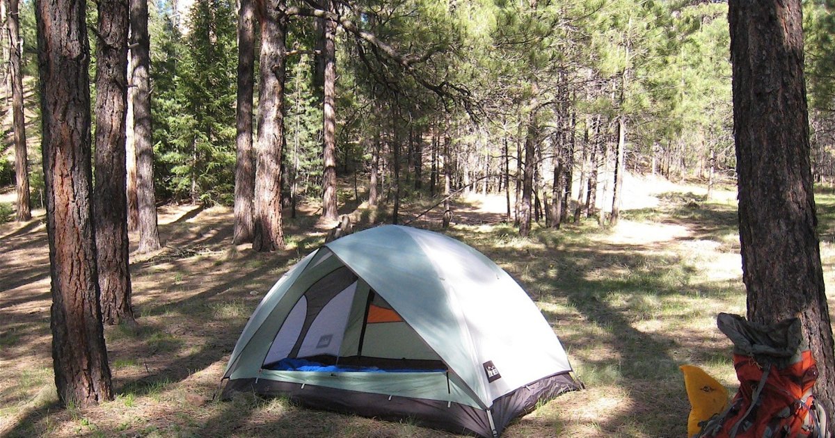 Tents and Trees Logic Puzzle 130 Quiz By garolo