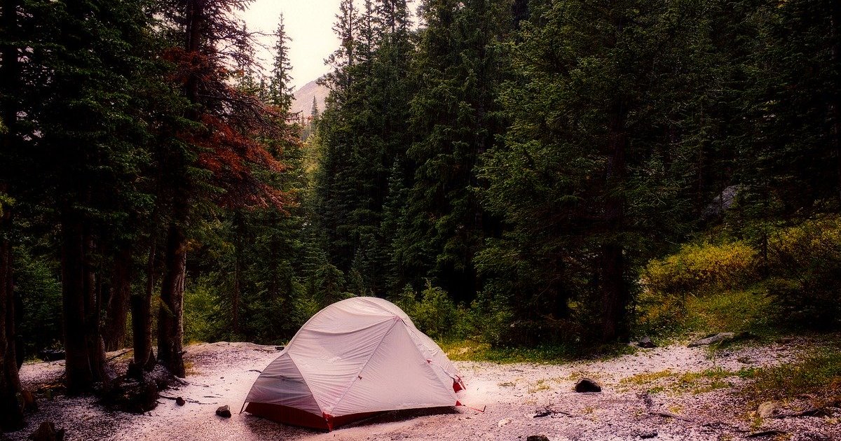 Tents and Trees Logic Puzzle 134 Quiz By garolo