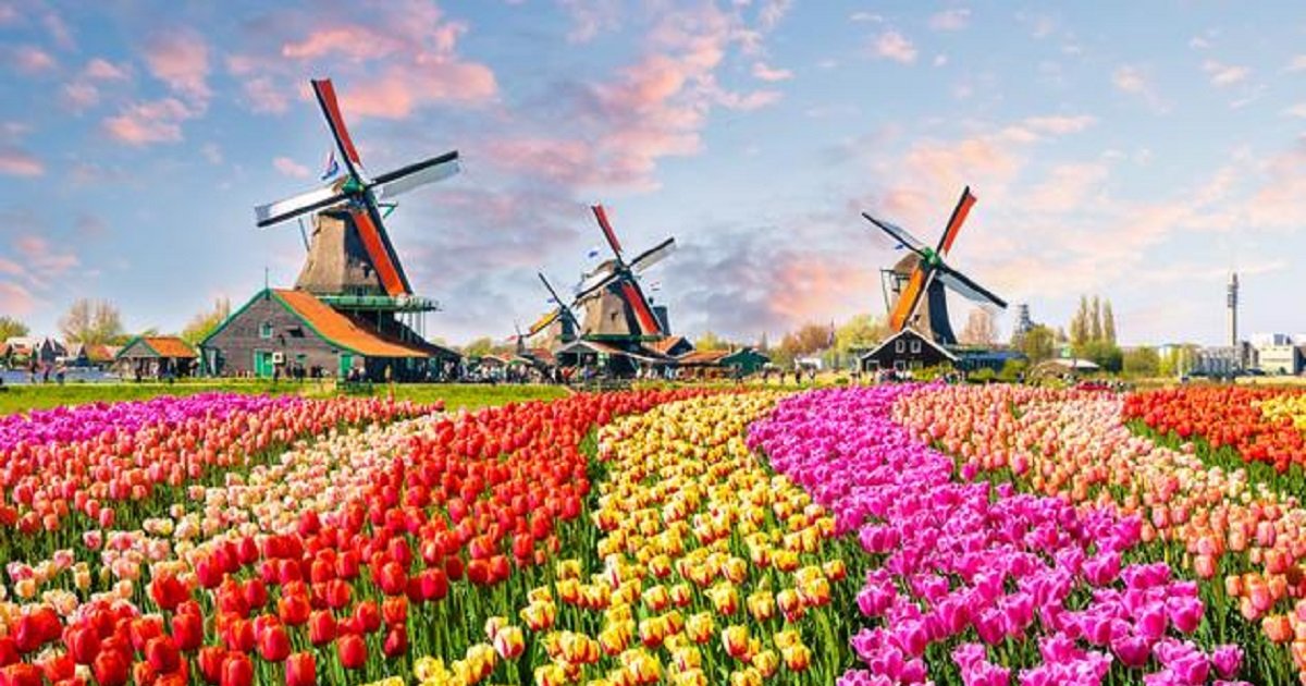 Find the Dutch Movie Characters Quiz By alvir28