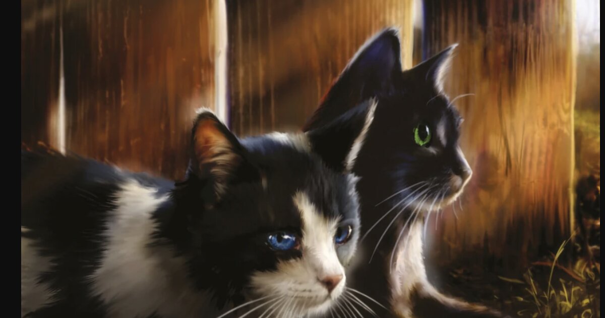 Warrior Cats: Ravenpaw Quiz - By spiderwing21