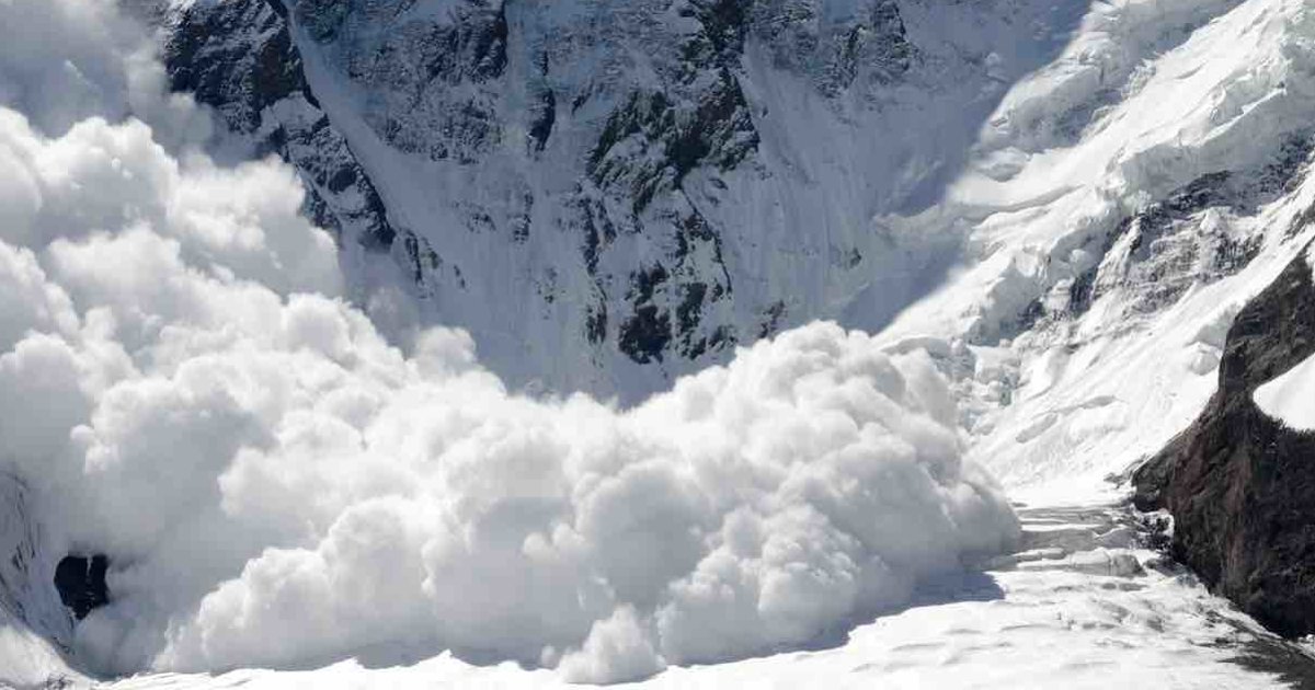 Avalanche Character Types Quiz By ncteisen