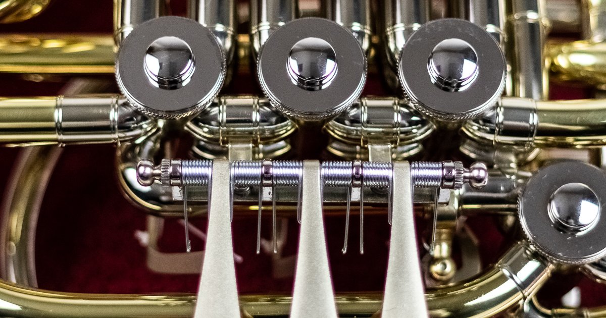 Parts of a French Horn Quiz By lucasteroid1120