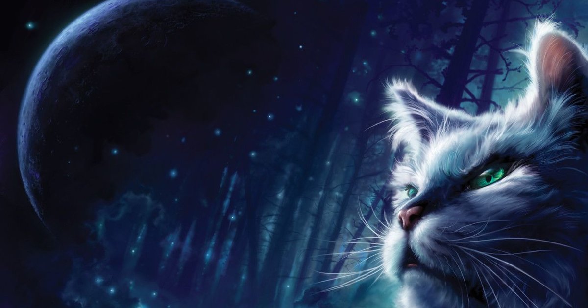 Warriors Cats Herb Usage Quiz By doraeyaki