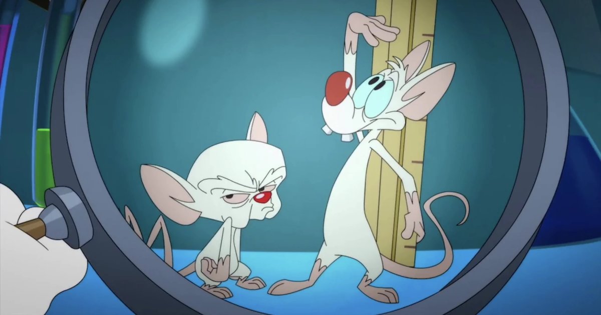 Invisible Pinky And The Brain Theme Song Quiz By Johncenafan612 Invisible pinky and the brain theme song quiz by johncenafan612