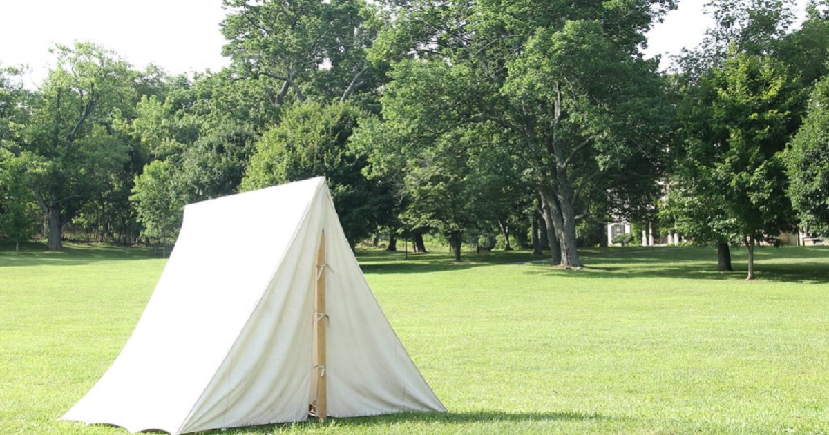 Tents and Trees Logic Puzzle 198 Quiz By garolo