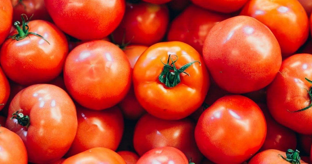 Cities in Ohio Illustrated Map Quiz By xyz_