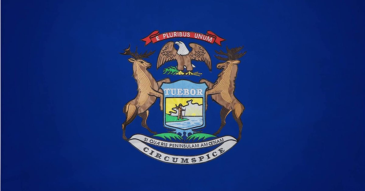 Letter Minefield Michigan Counties Quiz By liongirl8188