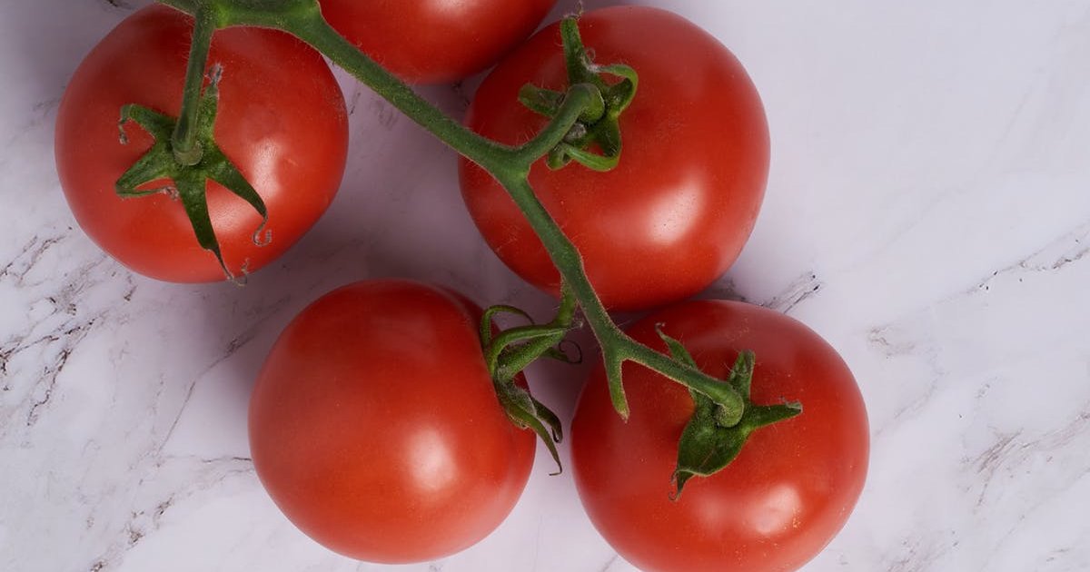 Don't Go Dark lyrics Bleachers (TTSOOSN) Quiz By coillte