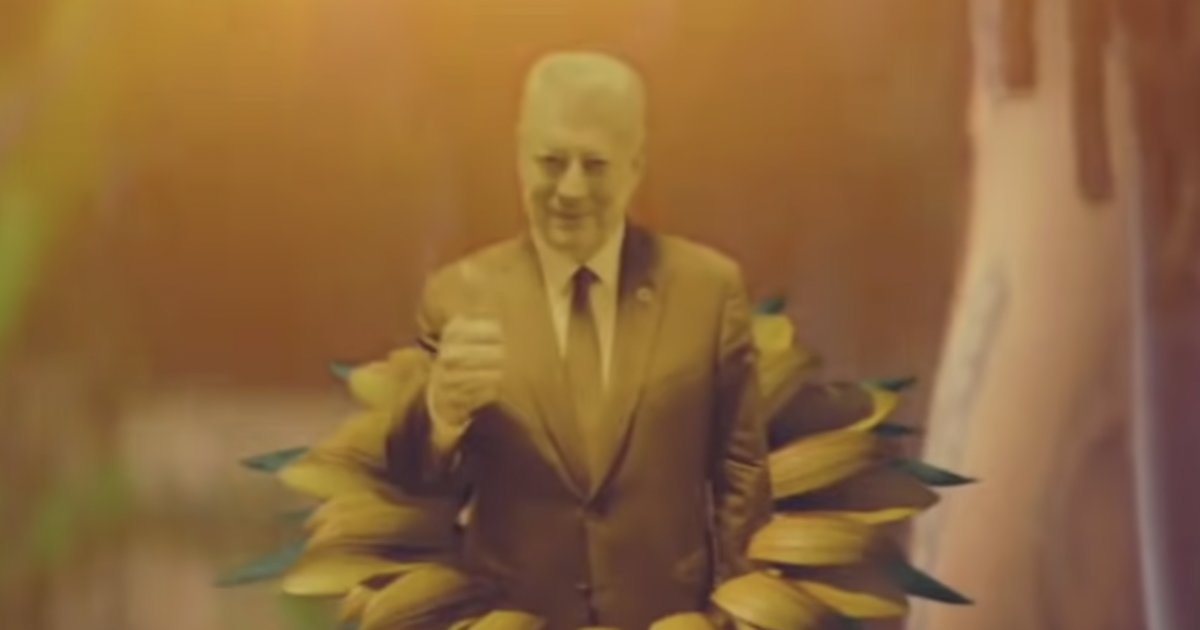 'Trees' Lyrics SNL Quiz By TibbyJudy