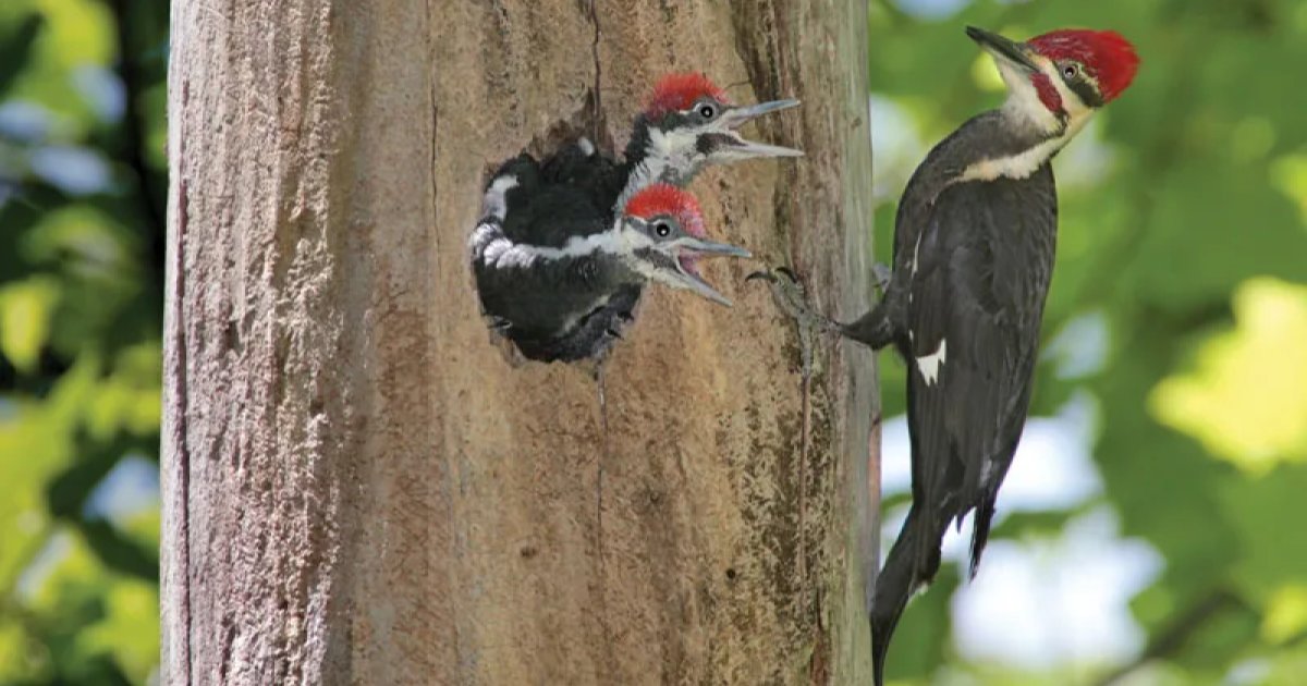 3Syllable Science (AZ) Quiz By 468178