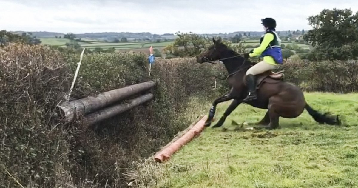 Refusals in Horse Riding Quiz By JoshB1997