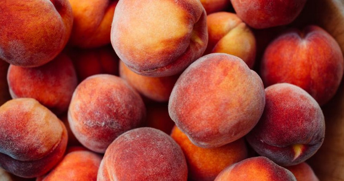 Cities in South Carolina Illustrated Map Quiz By xyz_