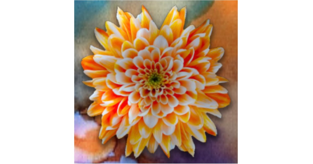 Pocket Frogs Scenery Quiz By reynad13