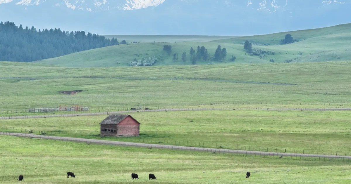 Prairie Test Find the Prairie Animals Quiz - By alvir28