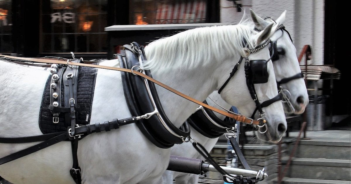 Over/Under: Idioms Quiz