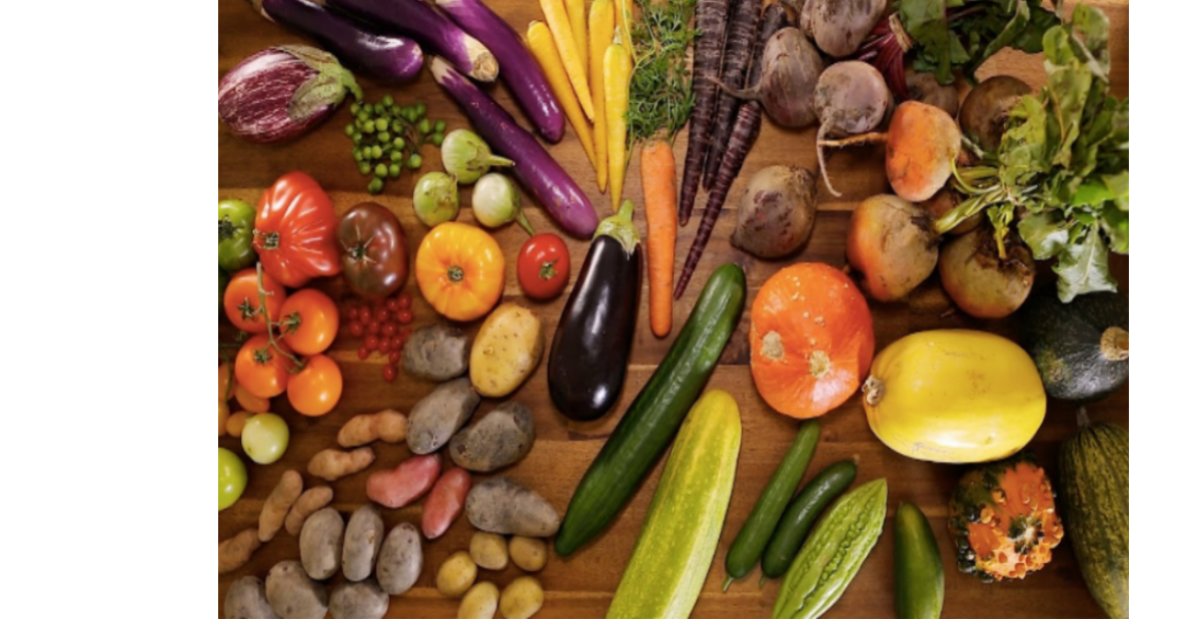 Cryptic Vegetables Quiz By Badger40