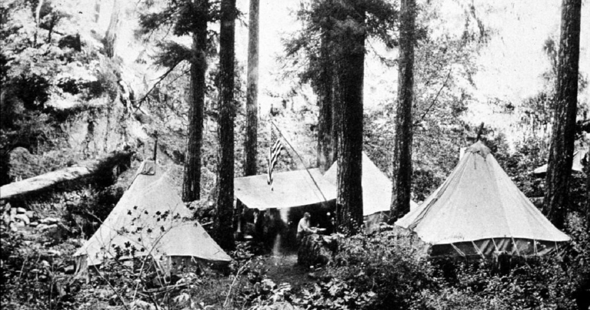 Tents and Trees Logic Puzzle 216 Quiz By garolo