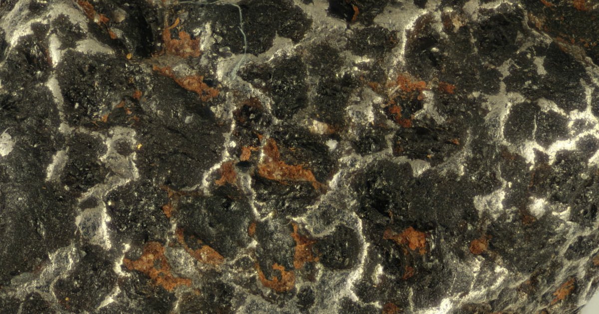 Missing First Letter ORE Words Quiz By daran