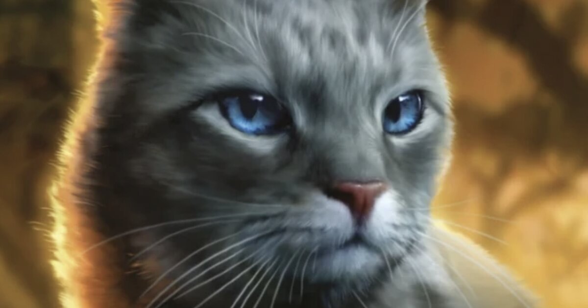 Warrior Cats Pictures 14 Quiz - By spiderwing21