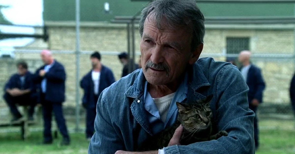 Prison Sort Prison Break Episode Sorting XXI Quiz - By lilmanfred