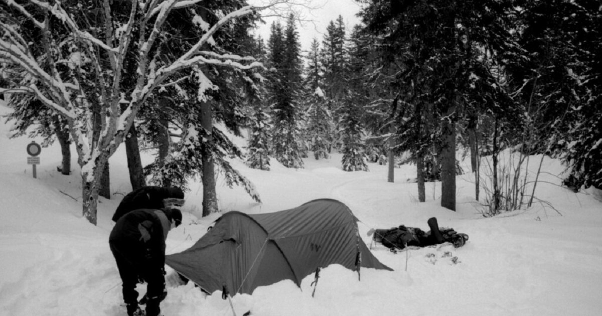 Tents and Trees Logic Puzzle 225 Quiz By garolo