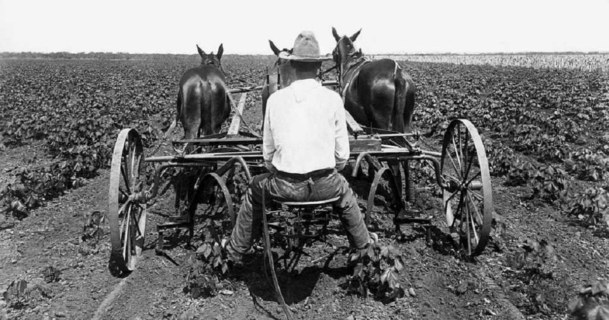 Old Farm Equipment Quiz By CaiustheTall