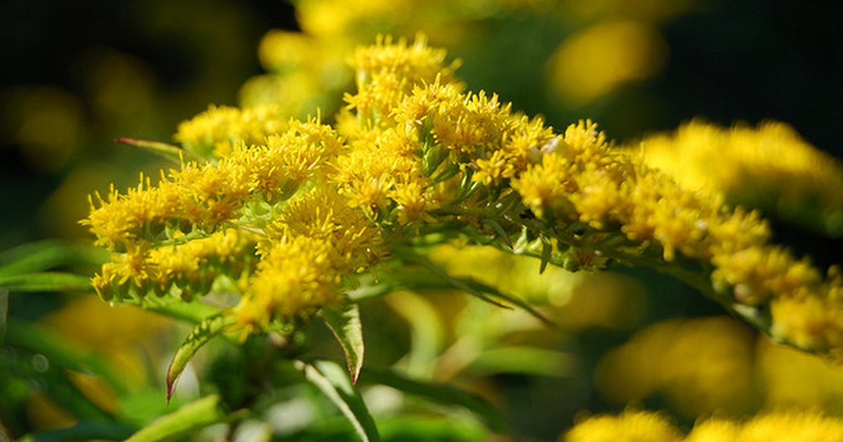 Cities in Nebraska Illustrated Map Quiz By xyz_