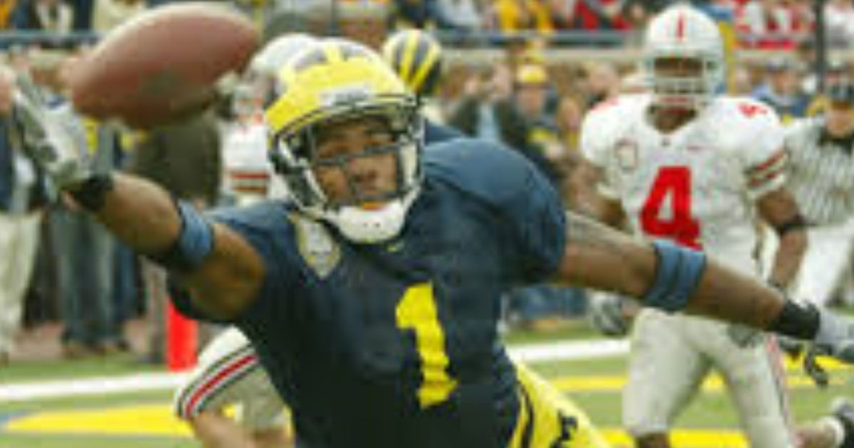 Wide Receivers in College Football Hall of Fame Quiz By cgjackson222