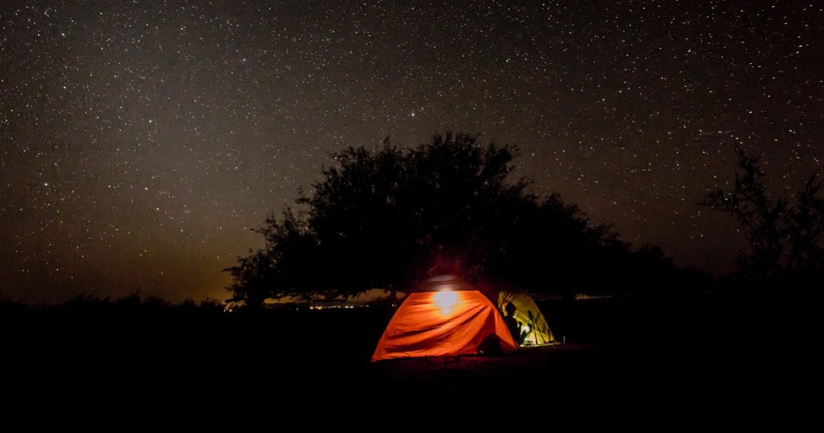 Tents and Trees Logic Puzzle 229 Quiz By garolo