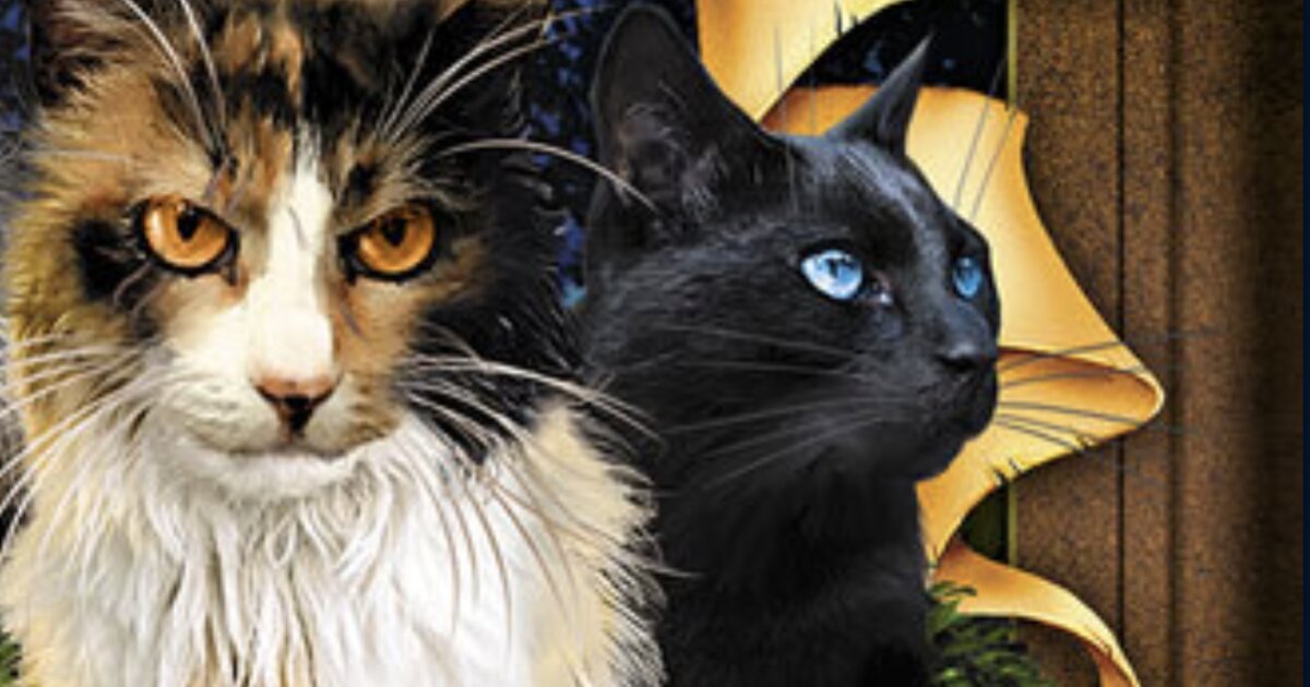 Wa Rav Cat Warrior Cats Number of Mentions: Ravenpaw's Farewell Quiz - By spiderwing21