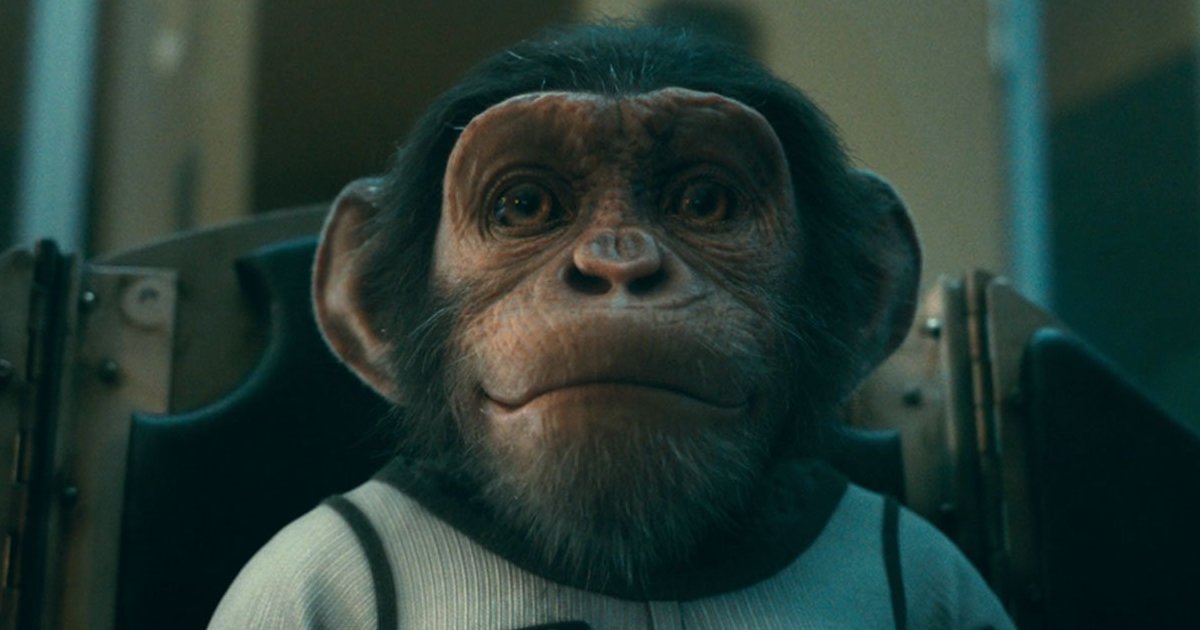 Character RoundUp The Umbrella Academy Quiz By Pick_0182