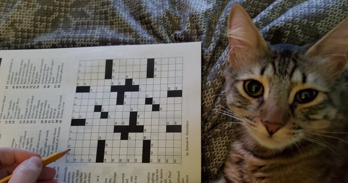 Cryptic Crossword A Mentally Stimulating Diversion Quiz By rae_cat