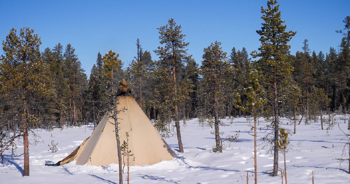 Tents and Trees Logic Puzzle 234 Quiz By garolo