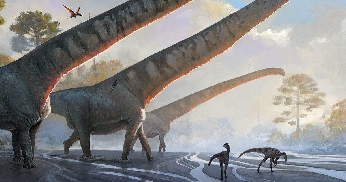 Science 9to1 Paleontology Quiz By ntfriedrich