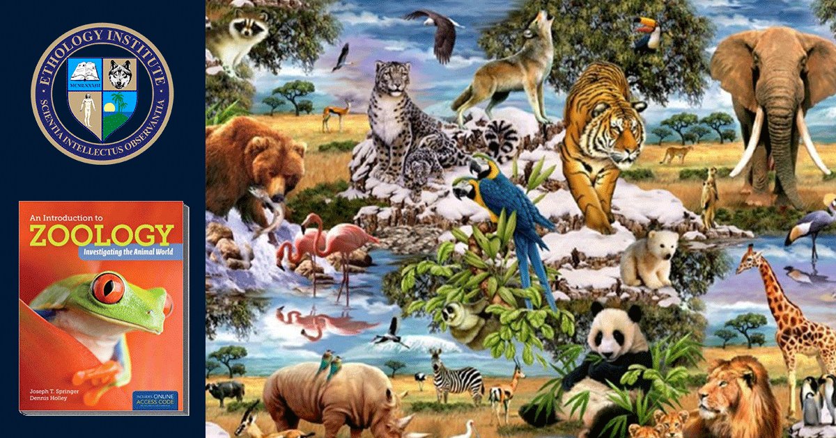 Science 9to1 Zoology Quiz By ntfriedrich