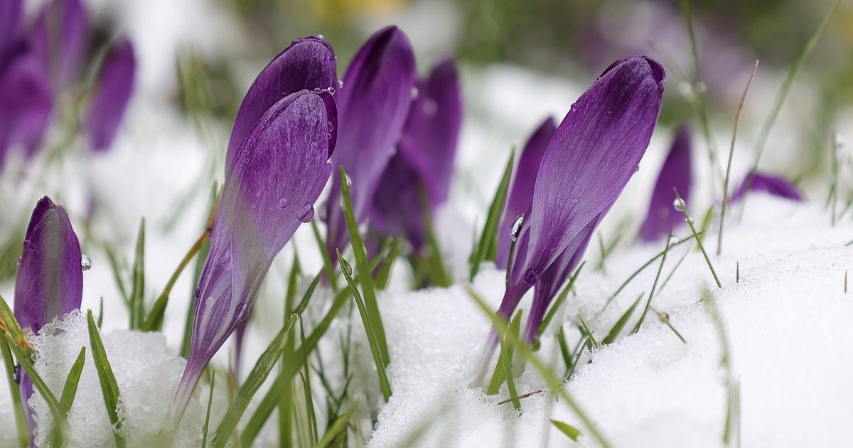 Lyrics Sometimes it Snows in April, by Prince Quiz By stood333