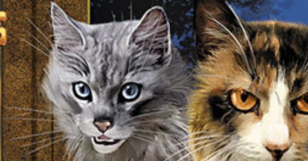 warrior-cats-goosefeather-s-curse-by-last-line-quiz-by-spiderwing21