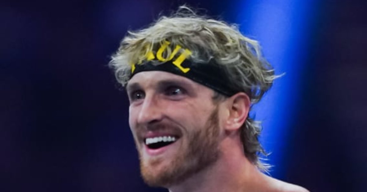 Can You Name Every Crossover Boxer? Quiz By sethcooper