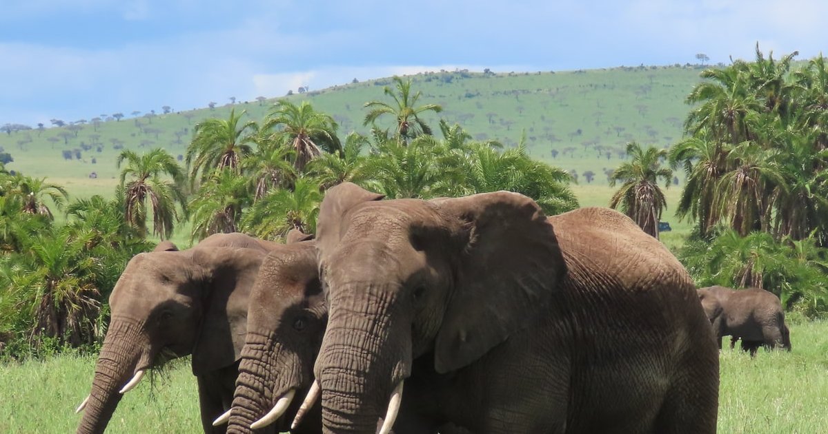 Serene Sir David Attenborough's 100th Birthday To Be Marked By Bbc With Special Programmes Abstract for Desktop Serene Sir David Attenborough's 100th Birthday To Be Marked By Bbc With Special Programmes Abstract for Desktop