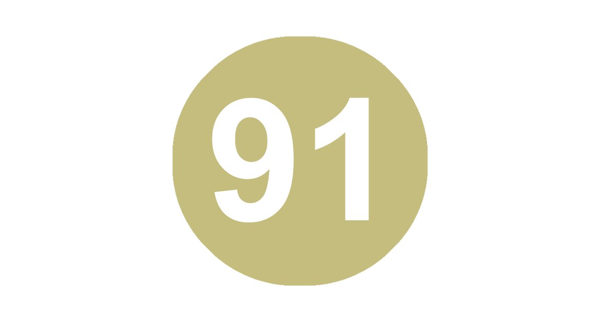 Line 91j Dresden: Line 91 (all stops) Quiz - By chillihead