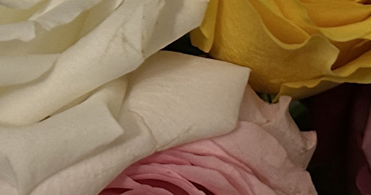 A Rose of Each Color Quiz - By AWatsonLPC