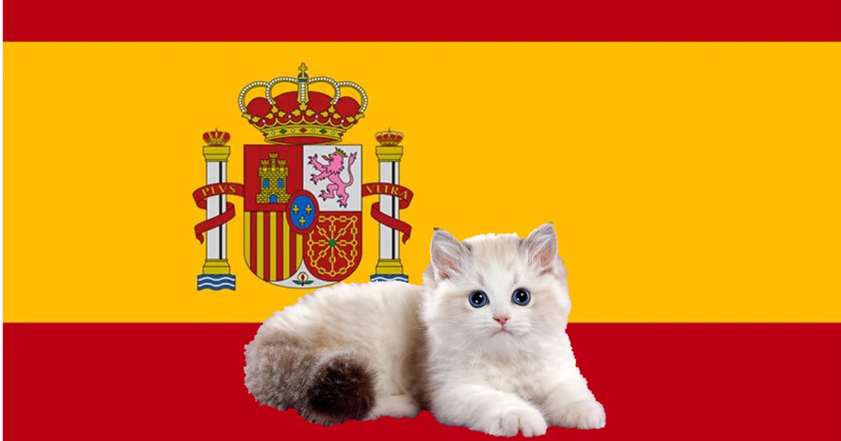 Cats in Spanish Quiz By rae_cat