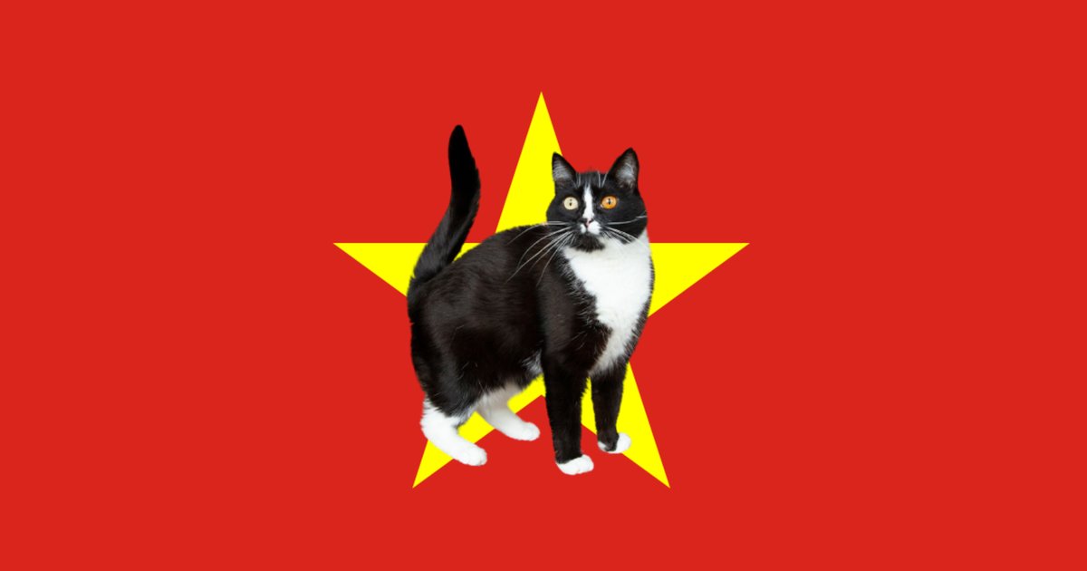 Cats in Vietnamese Quiz By rae_cat