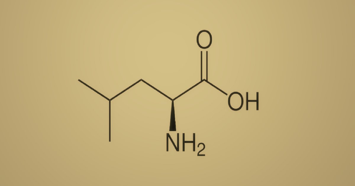Amino Acid 1Letter Codes with Traps Quiz