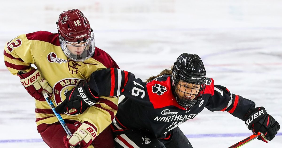 NCAA Division I Women's Ice Hockey Teams (202425) Quiz By