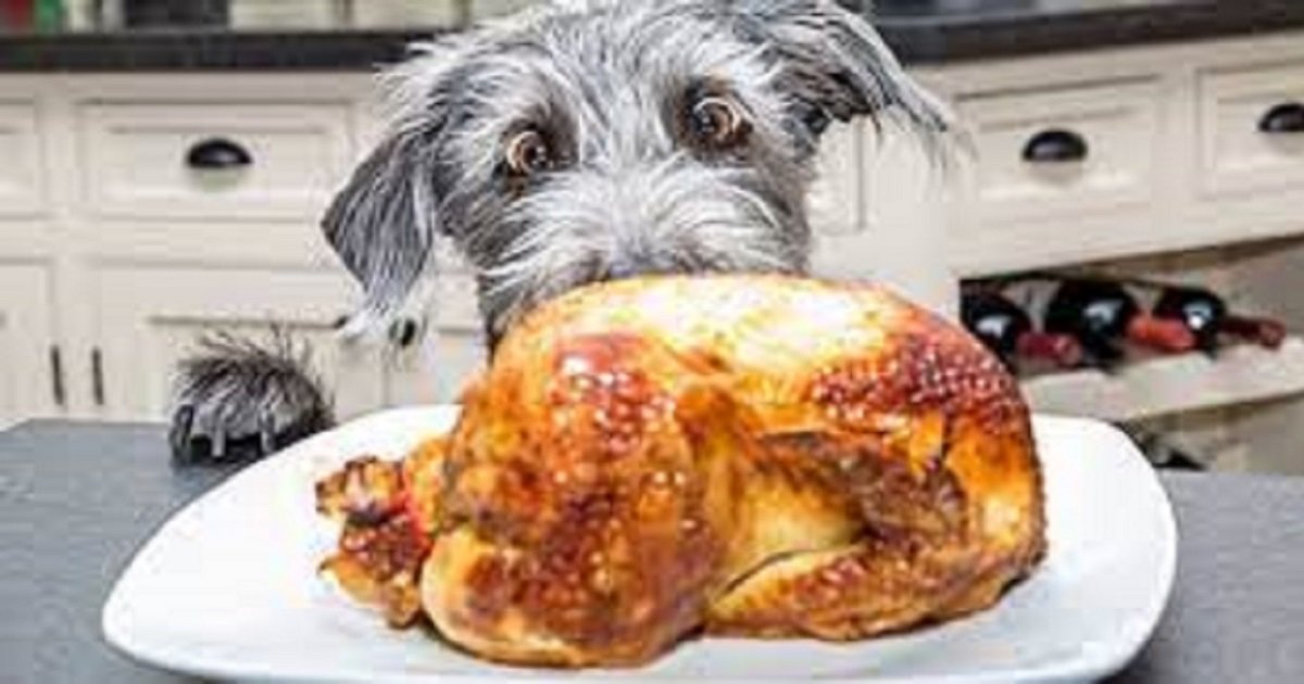 Thankless Olympic Events Quiz By cassie_ann