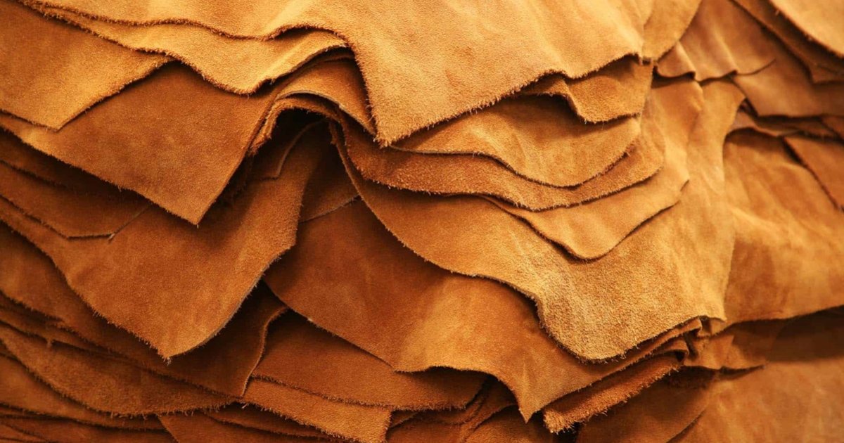 Find the Leather Animals Quiz By alvir28