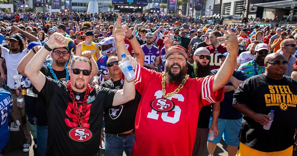 How to Be an NFL Fan Quiz By OtisBushtail