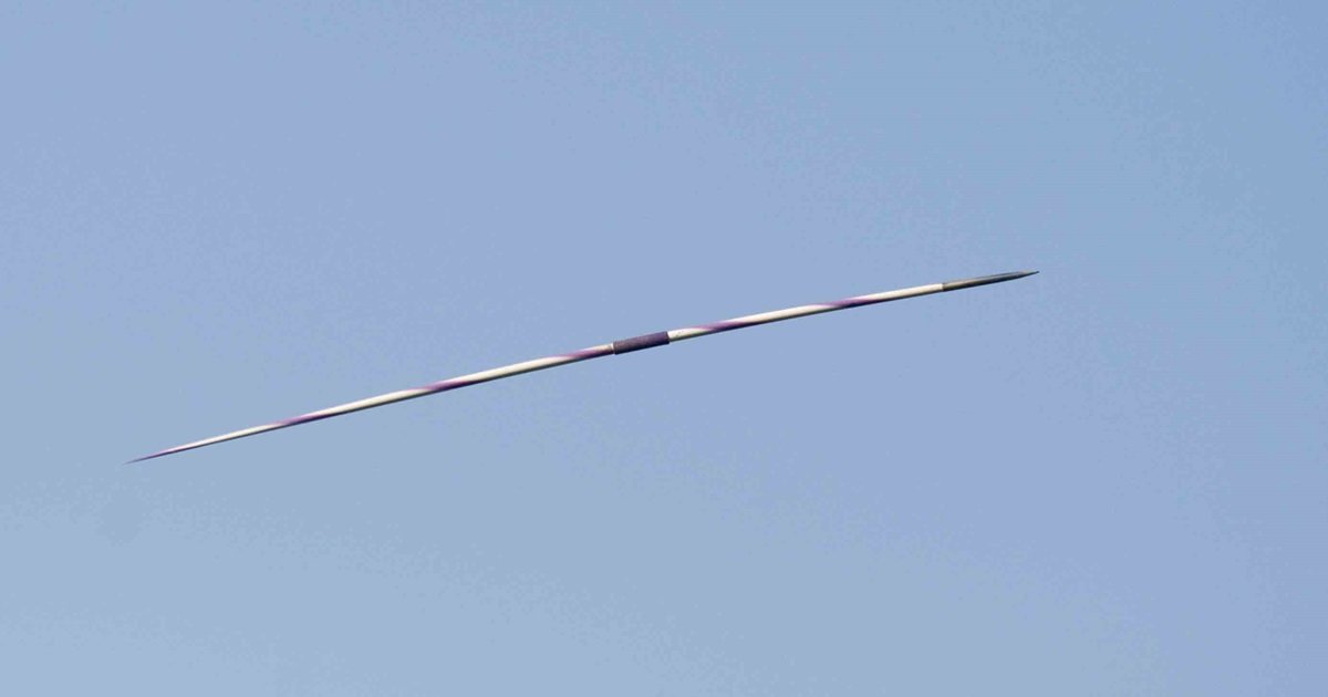 Find the Javelin Animals Quiz By alvir28